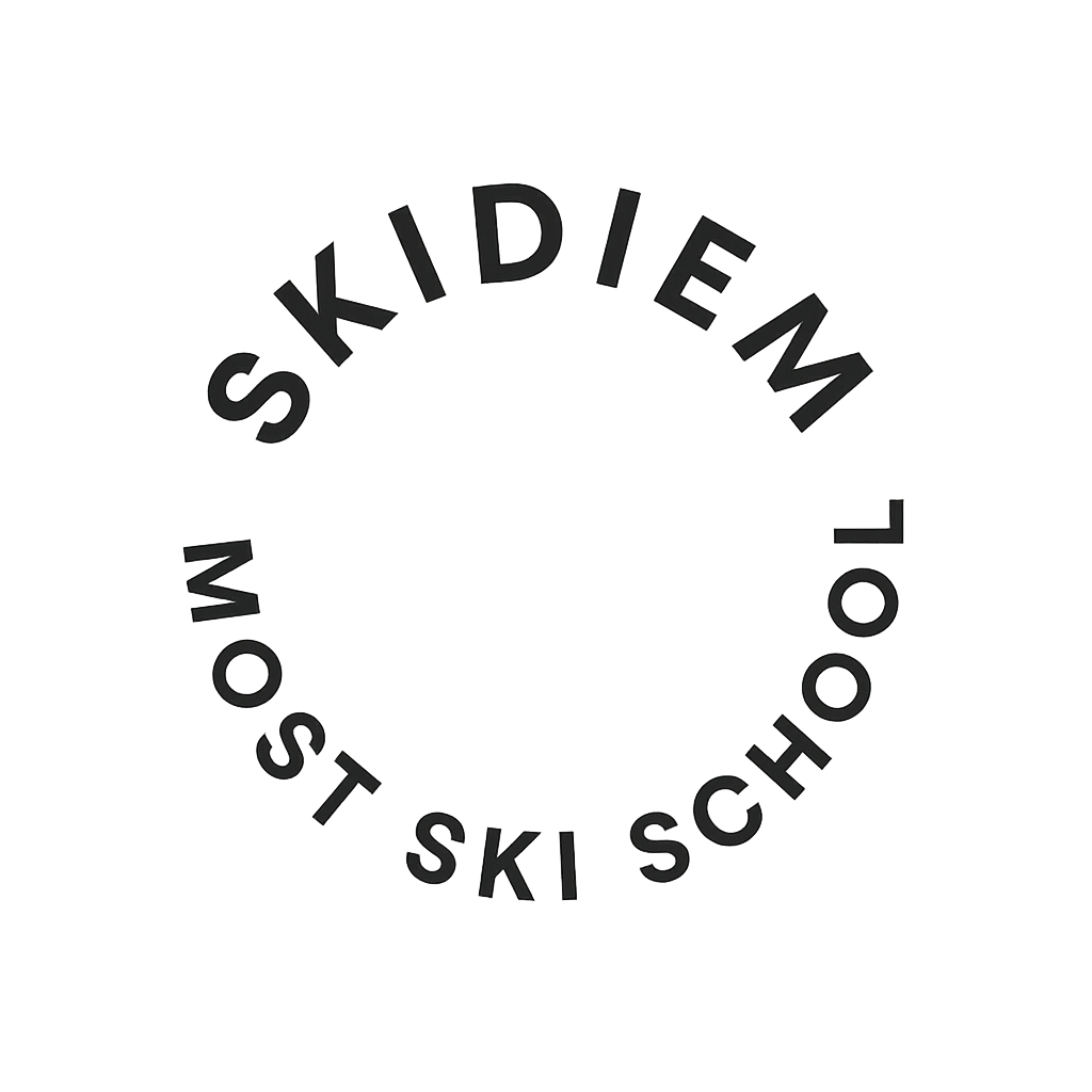 SKIDIEM LOGO