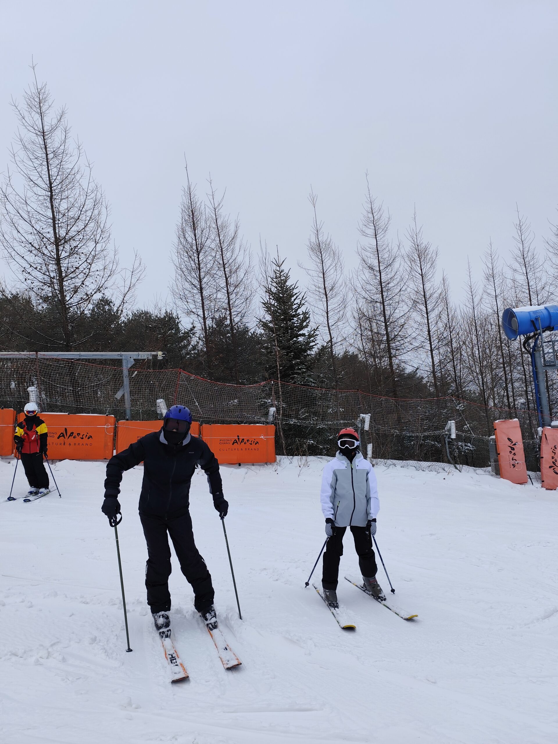 IMG_20250201_132253_1
